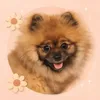 rinathepomm