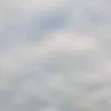 emabarlis2