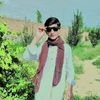 user73803846198192