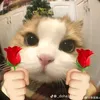 minluaaa.nnshjd