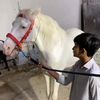 momin_baloch110