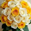 amsb.amar