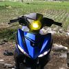 kangsur31