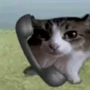 ledyno0