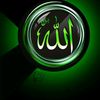 user4395185748621