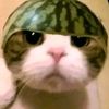 aswubsat