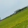 kshj837