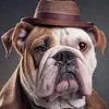 junior3bulldog