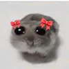 emus__ee