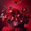 user487121341253