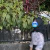 mutiara_tiara04