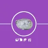 unitedseal_royalkingdom