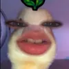 ilabchi.na