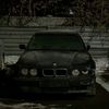 tiser788
