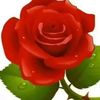md.ashaduzzaman.n7