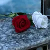 u111zzz