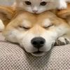 x3an7