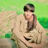 armantawani1