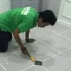 Shopcuanino