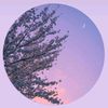 munala_321