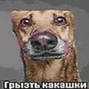 userkilka838547