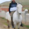 devran_aras1