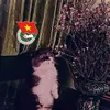 bao_phj