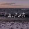 om.yazan5361