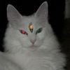 zoejane72