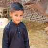ali_wale585