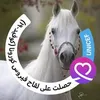 user4174508638042