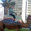 malek.dachraoui