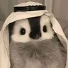 ilovecutefrogs04