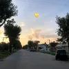 palo_714