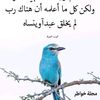 user8039803223034