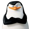 PenguinPro
