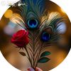 user883661808