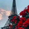 laila.imorradi