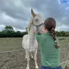 rae_equine