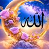 user98108229913392