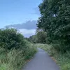 luzrfrv