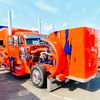 gatorman987