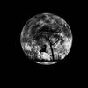 oussama.oussama0632