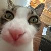 sir.pouchie.the.c