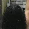 eu._.lar