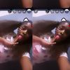 feiningforkentrelldesean