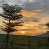 thuy170829