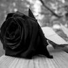 ann_mosso