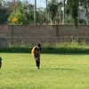 sseba_2010_