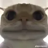 u.din.din.dun.ma.d